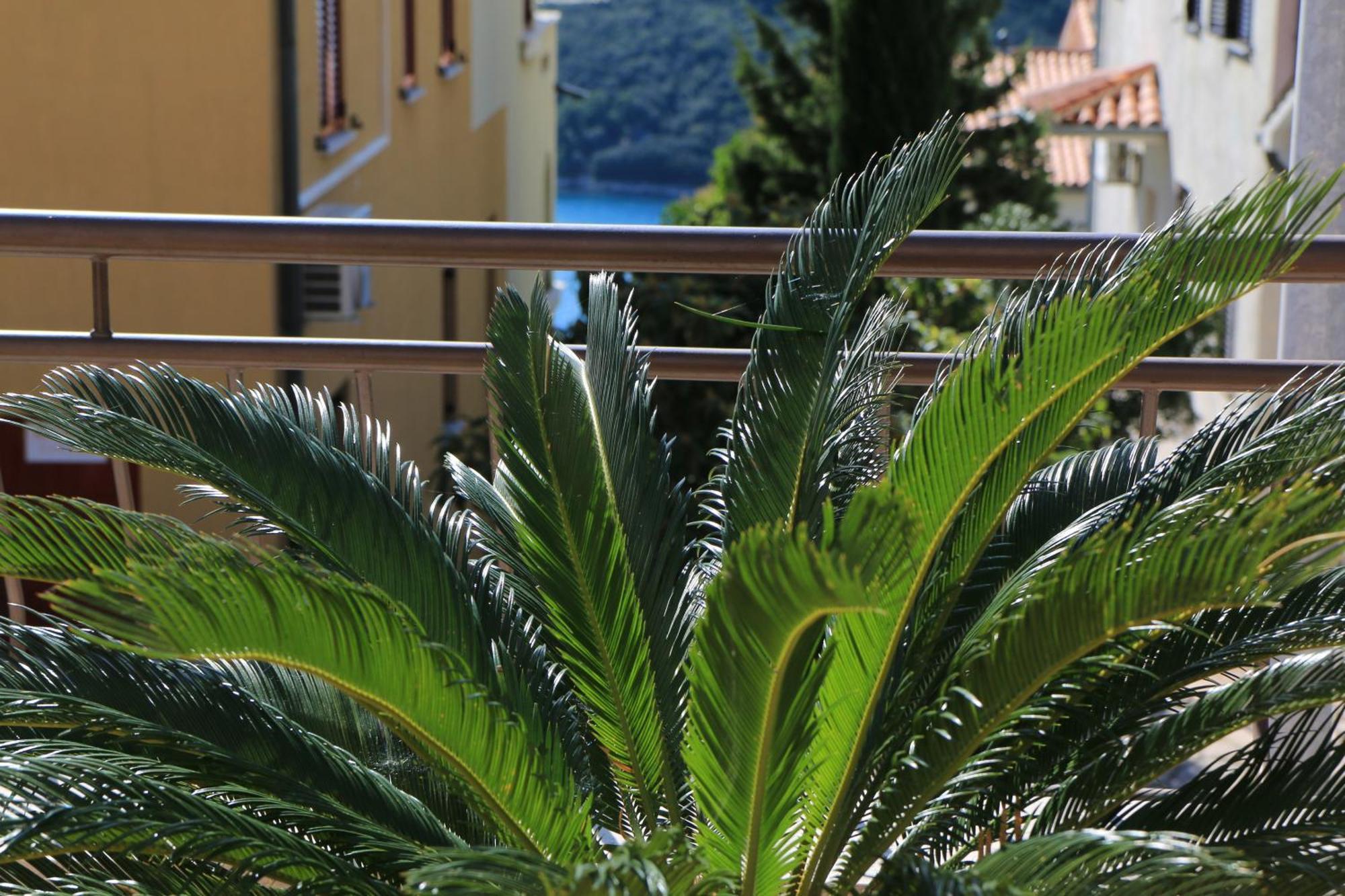 Apartments With A Parking Space Rabac, Labin - 7429 エクステリア 写真